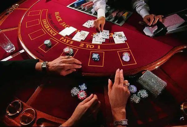ikan79 platform overview kategori game slot kasino olahraga lengkap